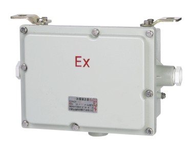 BGZ系列防爆镇流器(IIB、IIC、e、DIP) BGZ系列防爆镇流器(IIB、IIC、e、DIP)